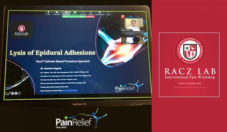 Racz' lab virtual workshop